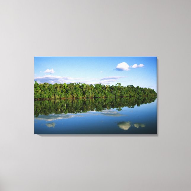 Lienzo Juruena, Brasil. Orilla del río boscosa reflejada (Anverso)
