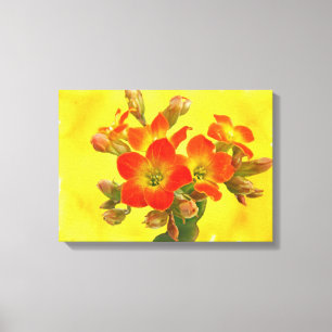 Lienzo Kalanchoe Rojo - Suculento Sunshine