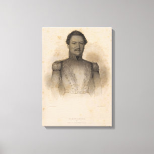 Lienzo Kamehameha, Hawaii