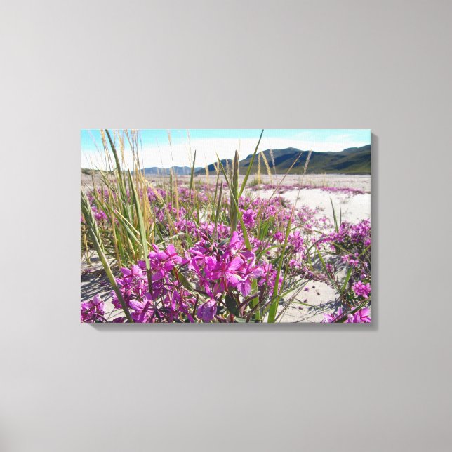 Lienzo Kangerlussuaq Greenland (Anverso)