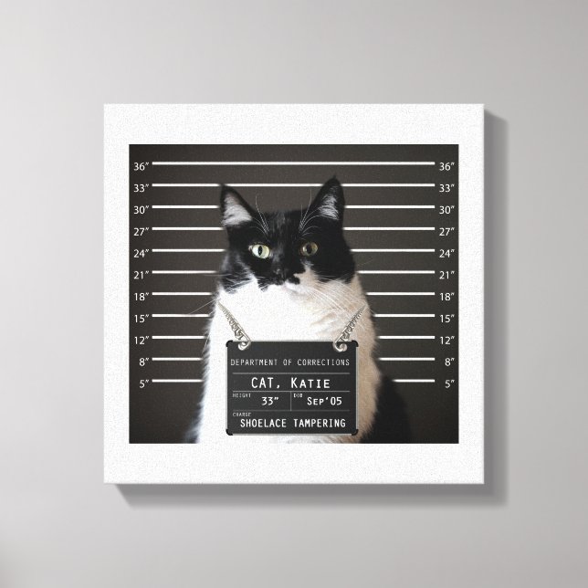 Lienzo Katie es... ACUSADA Mug Shot on Canvas (Anverso)
