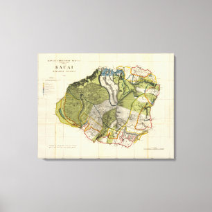 Lienzo Kauai, Hawaii