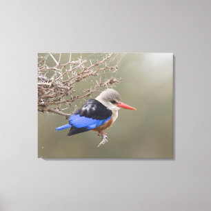 Lienzo Kenia. Acercamiento de los pescadores de cabeza gr