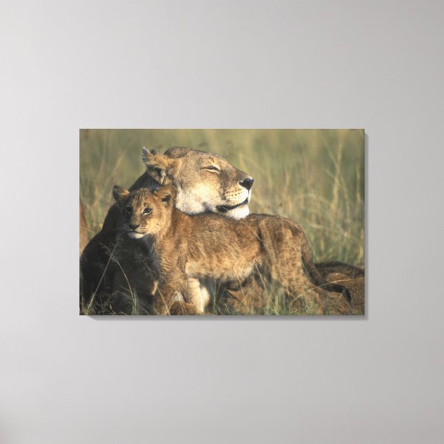 Lienzo Kenia, Masai Mara Game Reserve, Lioness (Anverso)