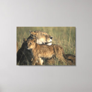 Lienzo Kenia, Reserva de caza Masai Mara, Leona