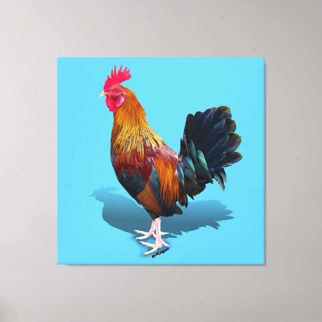 Lienzo Key West - Gypsy Rooster (Anverso)
