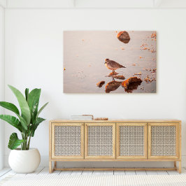 Lienzo Key West Shorebird Reflection Florida Keys