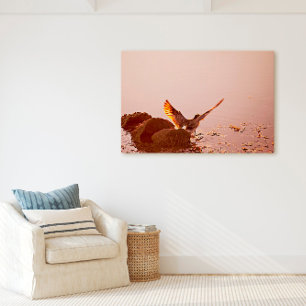 Lienzo Key West Shorebird Sunset Roca en Florida Keys
