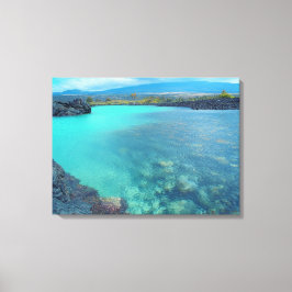 Lienzo Kiholo Bay Hawaii capturó la imagen de lona escéni