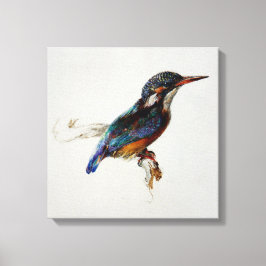 Lienzo Kingfisher (por John Ruskin)