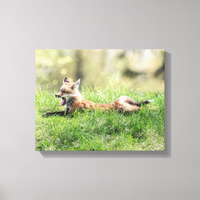 Lienzo Kit Red Fox (Anverso)