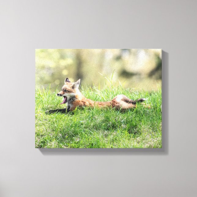 Lienzo Kit Red Fox (Anverso)