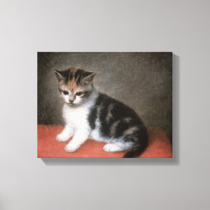 Lienzo Kitten de Srta. Ana White's, 1790 de George Stubbs