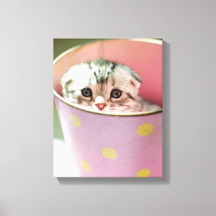 Lienzo Kitten Oculting