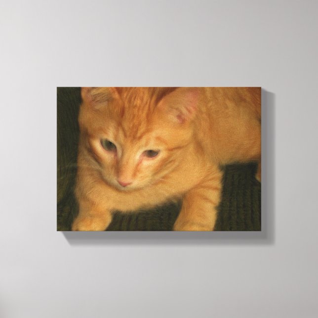 Lienzo Kitty Photo on Canvas (Anverso)