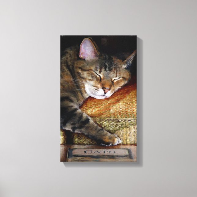 Lienzo Kitty Sleepy Book (Anverso)