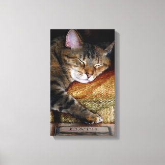Lienzo Kitty Sleepy Book