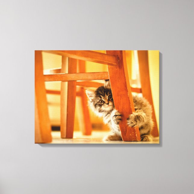 Lienzo Kitty Under Chair (Anverso)