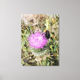 Lienzo La abeja en el cardo morado.