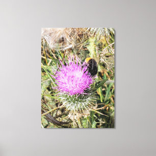 Lienzo La abeja en el cardo morado.