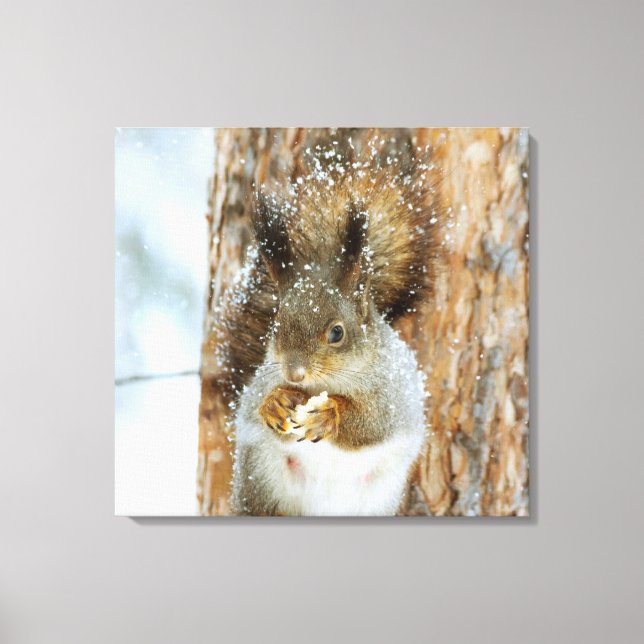 Lienzo La ardilla suave en un paisaje invernal (Anverso)