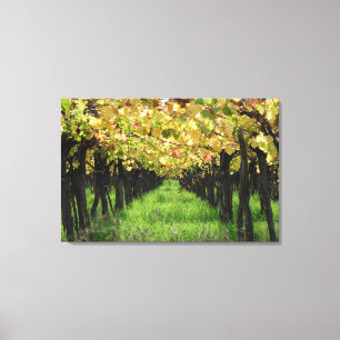 Lienzo La Argentina, Mendoza, fila de la uva en viñedo