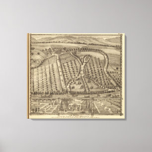 Lienzo La Belle, lugar de campo de Thos Hornbrook