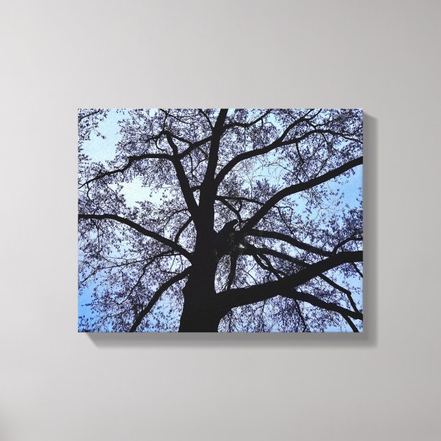 Lienzo La belleza de la naturaleza (Anverso)