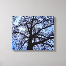 Lienzo La belleza de la naturaleza