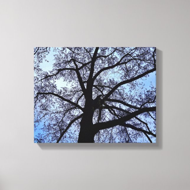 Lienzo La belleza de la naturaleza (Anverso)