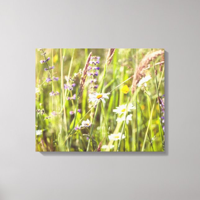 Lienzo La belleza del campo de las flores silvestres (Anverso)
