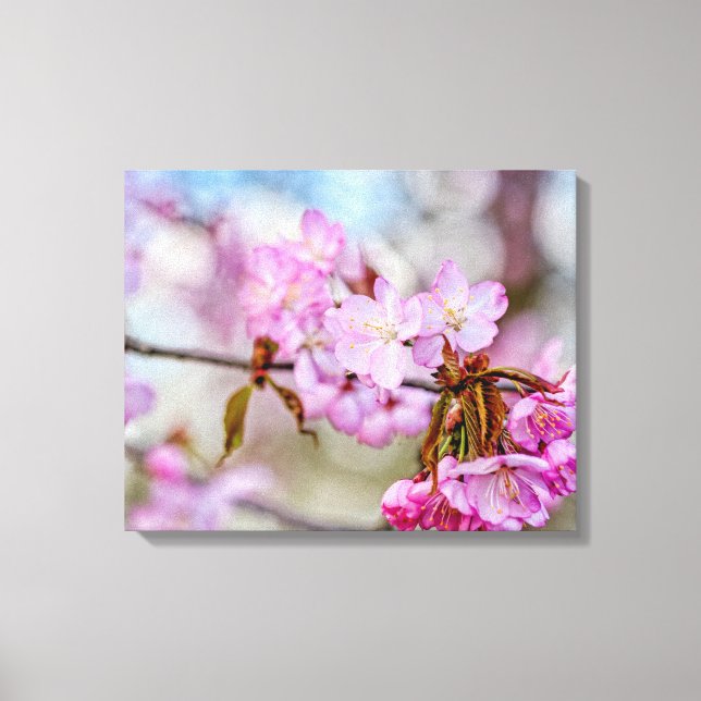 Lienzo La belleza silenciada de las flores de Sakura en p (Anverso)