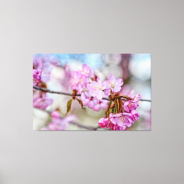 Lienzo La belleza silenciada de las flores de Sakura en p (Anverso)