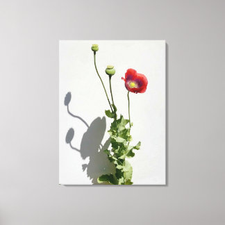 Lienzo La belleza también es la bestia.