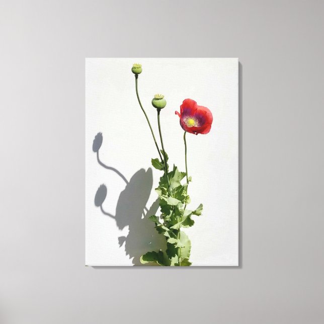 Lienzo La belleza también es la bestia. (Anverso)