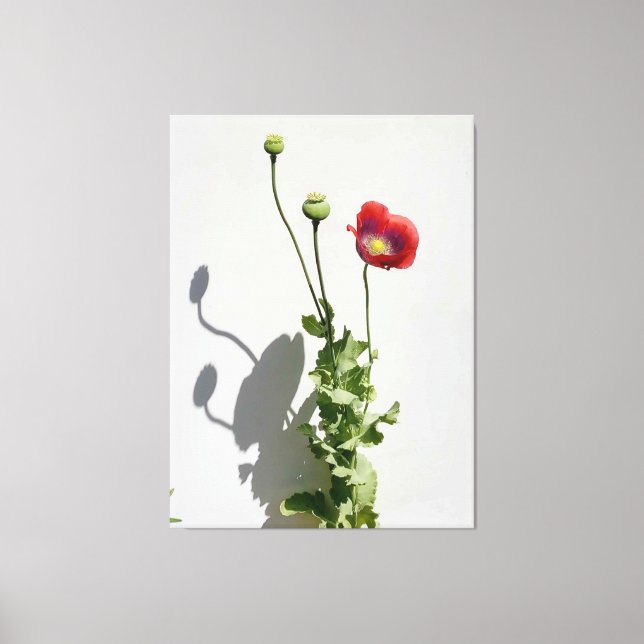 Lienzo La belleza también es la bestia. (Anverso)