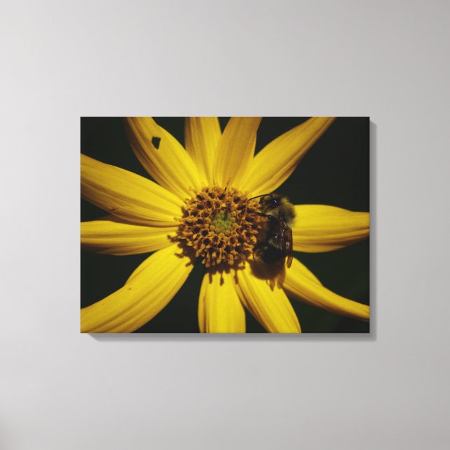 Lienzo La burbuja y el girasol (Anverso)