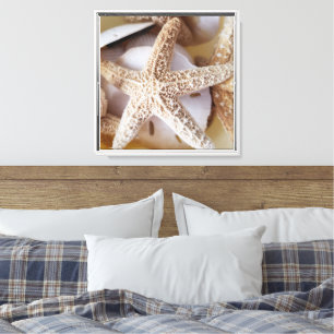 Lienzo La costa de los Starfish and Sand Dollars