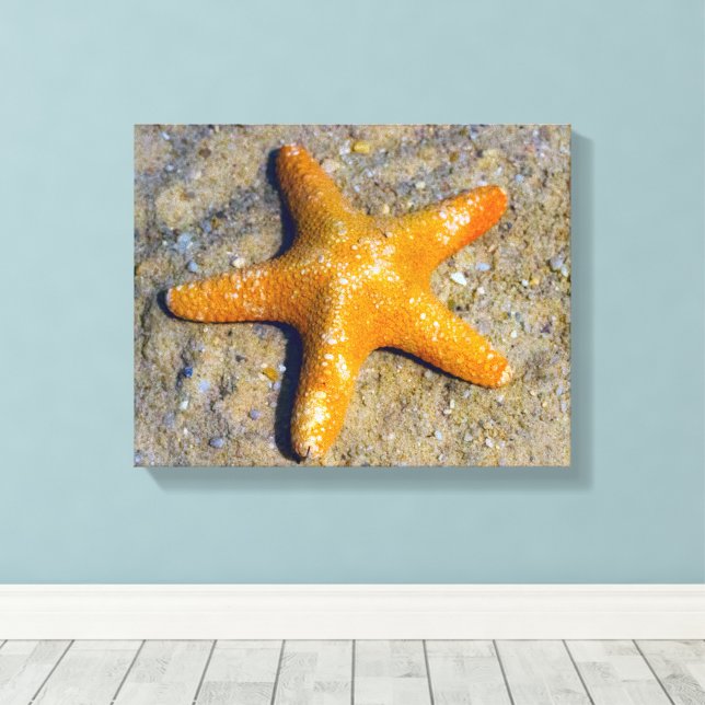 Lienzo La estrella de mar en la arena (Insitu (piso de madera))