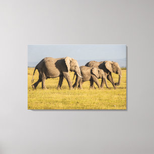Lienzo La familia Elephant caminando