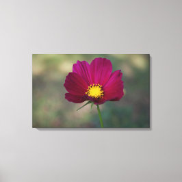 Lienzo La flor perfecta de la hermana