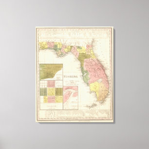 Lienzo La Florida 6
