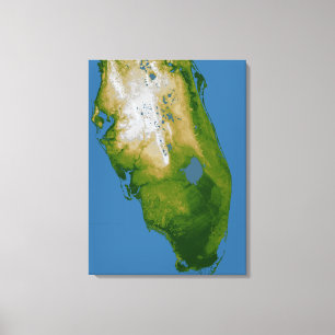 Lienzo La Florida meridional