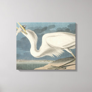 Lienzo La garza de gran blanco