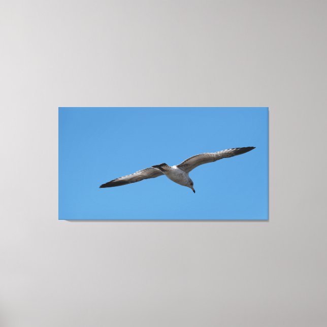 Lienzo La gaviota pasa el invierno en el lago (Anverso)