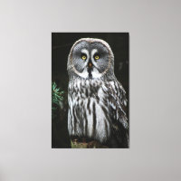 La Gran Lechuza Gris 40x60 (100x150cm)