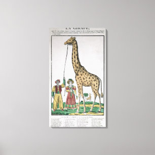 Lienzo La jirafa presentada al rey del bajá de