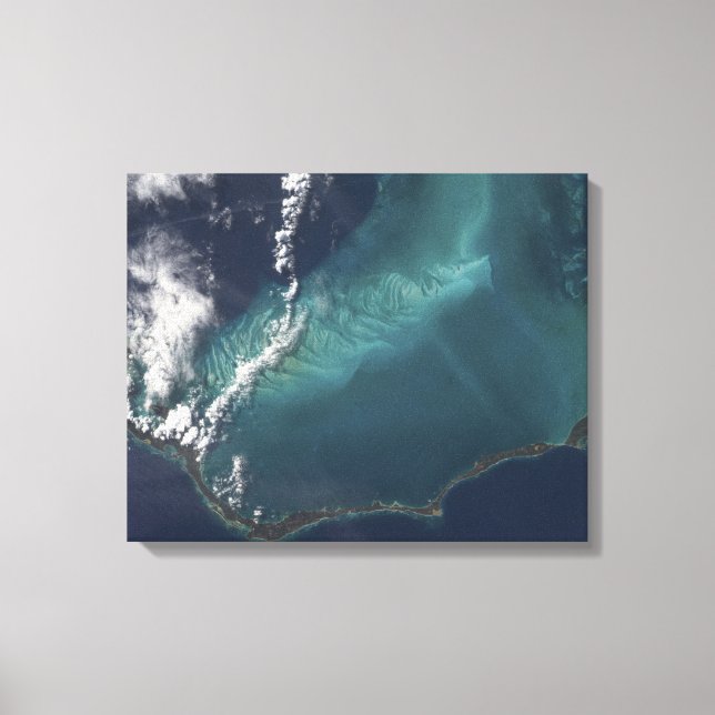 Lienzo La larga y estrecha isla Eleuthra de las Bahamas (Anverso)
