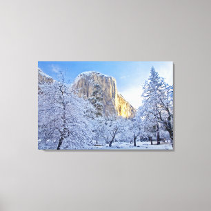 Lienzo La luz del amanecer golpea El Capitan con nieve