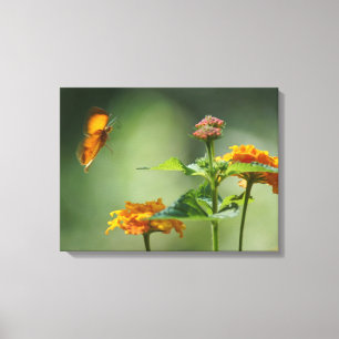 Lienzo La luz del verano